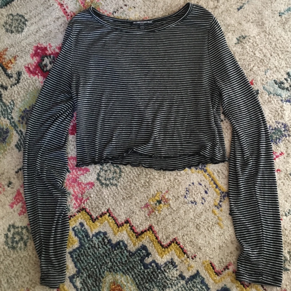 Brandy Melville Crop Top